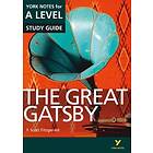 Great Gatsby: York Notes For A-level