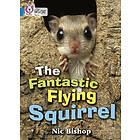 The Fantastic Flying Squirrel