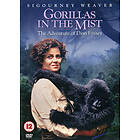 De Dimhöljda Bergens Gorillor (DVD)