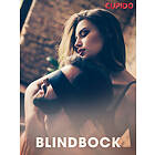 Cupido Blindbock Erotiska Noveller, (E-bok)/epub/mobi