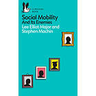 Social Mobility