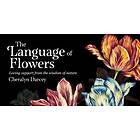 Language Of Flowers Mini Inspiration Cards