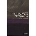 The Industrial Revolution: A Very Short Introduction