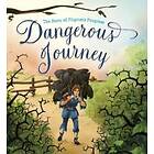 Dangerous Journey