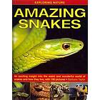 Exploring Nature: Amazing Snakes