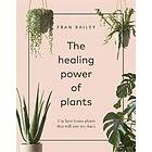 The Healing Power Of Plants