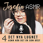 ASMR När Det Är Som Bäst Ljudbok