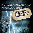 Säkerhetsåtgärder Vid Statsbesök