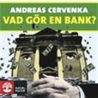 Natur & Kultur Vad Gör En Bank? Ljudbok