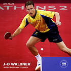 Vibery Audiobooks J-O Waldner: När Känslan Bestämmer Ljudbok