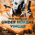Southside Stories Under Hökens Vingar Ljudbok