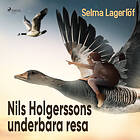 Nils Holgerssons Underbara Resa Ljudbok