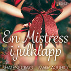 LUST En Mistress I Julklapp BDSM Erotik Ljudbok