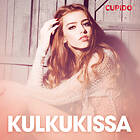 Cupido Kulkukissa – Eroottinen Novelli Ljudbok