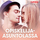 Cupido Opiskelija-asuntolassa – Eroottinen Novelli Ljudbok