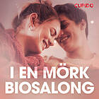 Cupido I En Mörk Biosalong – Erotisk Novell Ljudbok