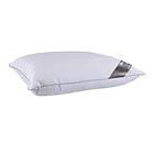 Borg Living Comfort Silkeskudde 63x60cm