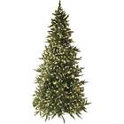 Star Trading Vancouver Julgran 225cm