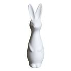 DBKD Swedish Rabbit 27cm