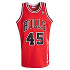Mitchell & Ness NBA Authentic Jersey Chicago Bulls 1994-95 M. Jordan #45