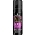 Schwarzkopf Root Retoucher Dark Brown 120ml