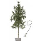 Star Trading Dekorationsträd Pine 20 LED 60cm