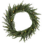 Star Trading Thuja Wreath 40cm