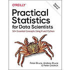 Practical Statistics For Data Scientists
