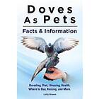 Doves As Pets: Breeding, Diet, Housing, Health, Where To Buy, Raising, And More.
