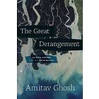 The Great Derangement