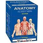 Anatomy Flash Cards