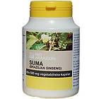 Rio Amazon Suma Brazilian Ginseng 60 Capsules