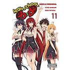 High School DxD, Vol. 11