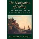 The Navigation Of Feeling