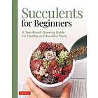 Succulents For Beginners