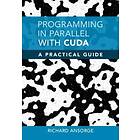 Programming In Parallel With CUDA