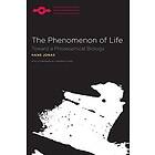 The Phenomenon Of Life