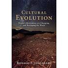 Cultural Evolution