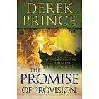 The Promise Of Provision