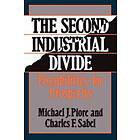 The Second Industrial Divide