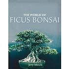 The World Of Ficus Bonsai
