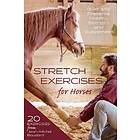 Stretch Exercises For Horses