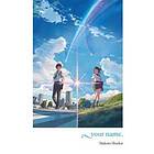 Your Name. (light Novel)