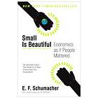 Small Is Beautiful: Economics As If People Mattered