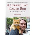 Street Cat Named Bob