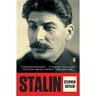 Stalin: Paradoxes Of Power, 1878-1928