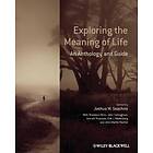 Exploring The Meaning Of Life – An Anthology And Guide