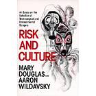Risk And Culture