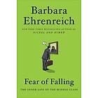 Fear Of Falling: The Inner Life Of The Middle Class