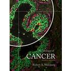 The Biology Of Cancer